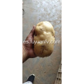 batatas con color amarillo